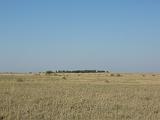 Africa 135 : Africa, Animal, Botswana, Grassland, Landscape, Makgadikgadi, Mammal, Zebra